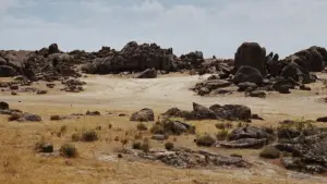 Задник к фильму "Хороший, плохой, злой" #582100