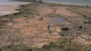 Задник к фильму "" #560638