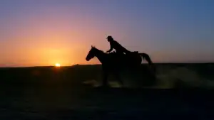 Задник к фильму "Хороший, плохой, долбанутый" #881783