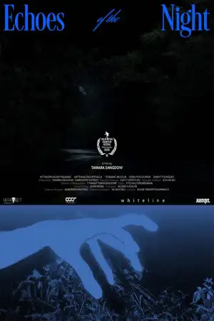 Echoes of the Night