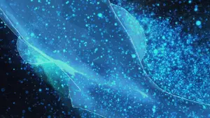 Задник к фильму "Ученик чудовища" #180795