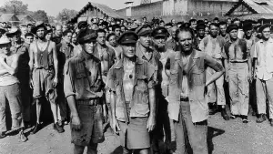 Задник к фильму "Король Крыса" #744377