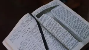 Задник к фильму "Побег из Шоушенка" #517313