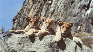 Задник к фильму "Живущие свободными" #742307