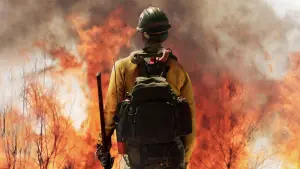 Задник к фильму "Дело храбрых" #375084