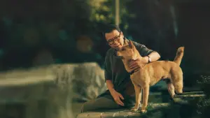 Задник к фильму "Мой Хатико" #472160