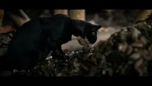 Задник к фильму "" #367118