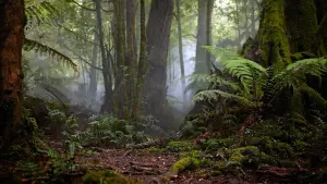 Задник к фильму "Город тайн: Исчезнувшая" #430472