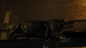 Задник к фильму "Мальчишки из «Никеля»" #598731