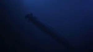 Задник к фильму "Багровый прилив" #720440