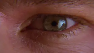 Задник к фильму "Бэтмен навсегда" #618928