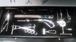 Задник к фильму "Магазинчик ужасов" #668273