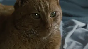 Задник к фильму "Чужие" #181856