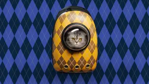 Задник к фильму "Аргайл: Супершпион" #170844