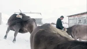 Задник к фильму "" #420425