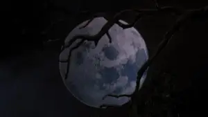 Задник к фильму "Зловещие мертвецы 3: Армия тьмы" #669654