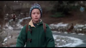 Задник к фильму "Один дома 2: Затерянный в Нью-Йорке" #567075