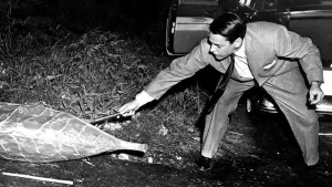 Задник к фильму "Вторжение похитителей тел" #213544