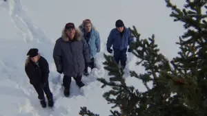 Задник к фильму "Рождественские каникулы" #676788