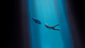 Задник к фильму "Друг в океане" #401987