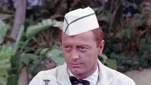 Задник к фильму "Пикничок" #498751