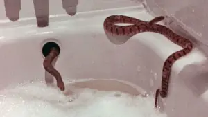 Задник к фильму "" #737841