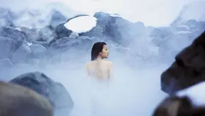 Задник к фильму "Шелк" #466743