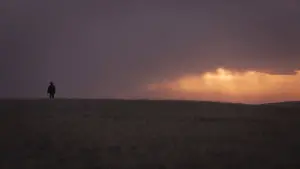 Задник к фильму "Баллада Бастера Скраггса" #732205