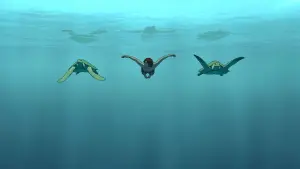 Задник к фильму "Красная черепаха" #212006