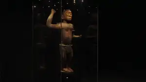 Задник к фильму "Dahomey" #862383