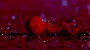 Задник к фильму "" #745412