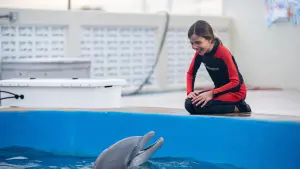 Задник к фильму "Дельфин Берни 2" #333277