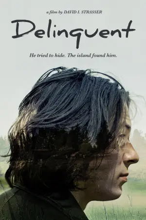 Постер к фильму "Правонарушитель" #713316