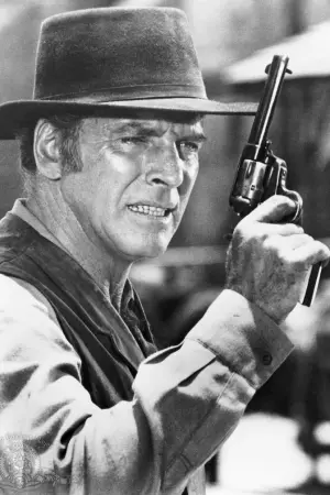 Постер к фильму "Представитель закона" #396058