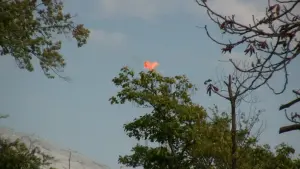 Задник к фильму "" #450899