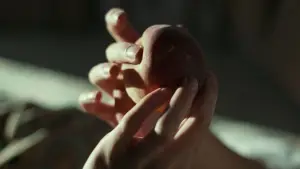 Задник к фильму "Назови меня своим именем" #595848