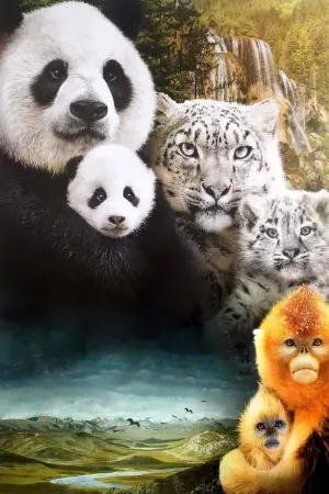 Постер к фильму "Рождённые в Китае" #483508