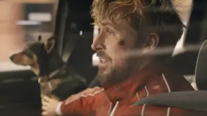 Задник к фильму "Каскадёры" #572082