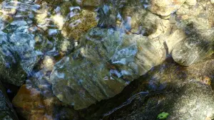 Задник к фильму "Паразиты" #525859