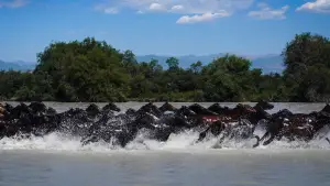 Задник к фильму "" #550795