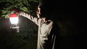 Задник к фильму "Оно приходит ночью" #950540