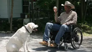 Задник к фильму "Третий акт" #247305