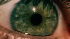 Задник к фильму "Техасская резня бензопилой" #629013