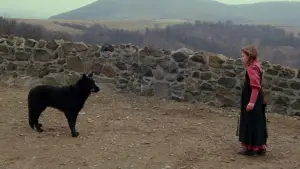 Задник к фильму "" #645260