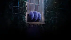 Задник к фильму "Воображаемый друг" #430877