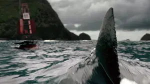 Задник к фильму "Отмель" #289663