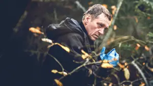 Задник к фильму "Сорйонен: Послание на стене" #435824