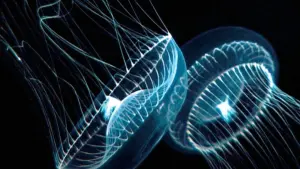 Задник к фильму "Голубая бездна" #481989