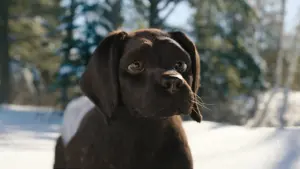 Задник к фильму "" #429754