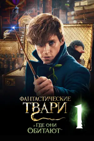 Постер к фильму "Фантастические твари и где они обитают" #590642
